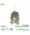 GloboStar® Artificial Garden GOLDEN BELL WILLOW HANGING PLANT 20627 Τεχνητό Κρεμαστό Διακοσμητικό Φυτό Ιτίας  Y80cm